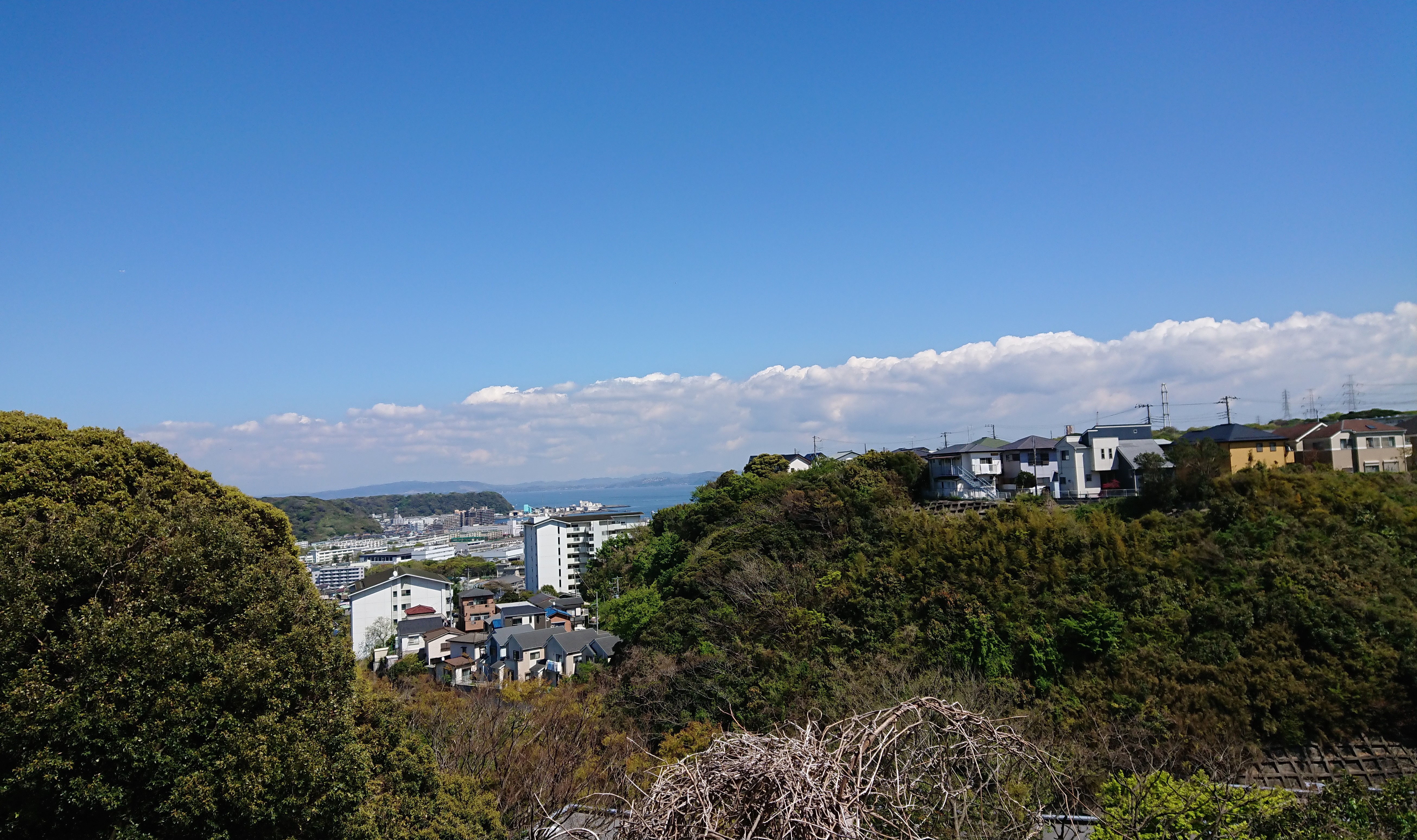 後半戦終了でございます。