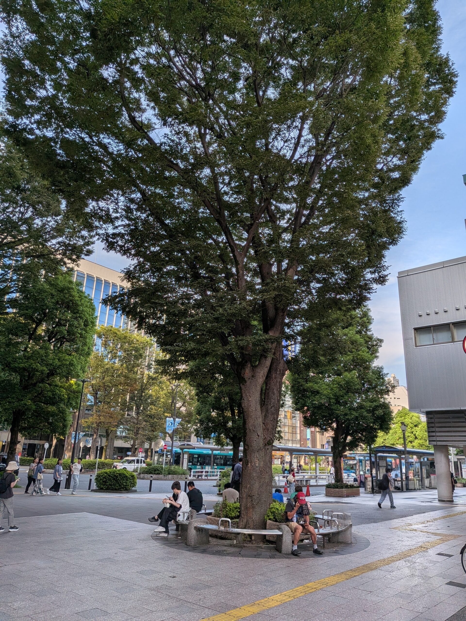 決算審査特別委員会②　小杉北口駅前広場の再開発について